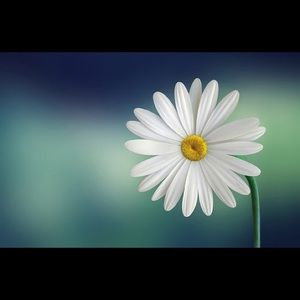 Meet your Posher, Gurprit